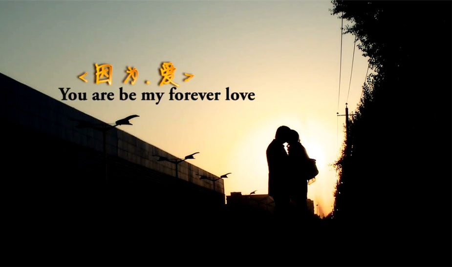 &#21326;&#20307;&#20250;&#20307;&#32946;&#45;&#21326;&#20307;&#20250;&#40;&#20013;&#22269;&#41;